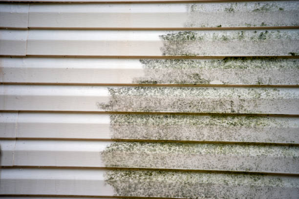 Best Custom Siding Design  in Hillsborough, NJ
