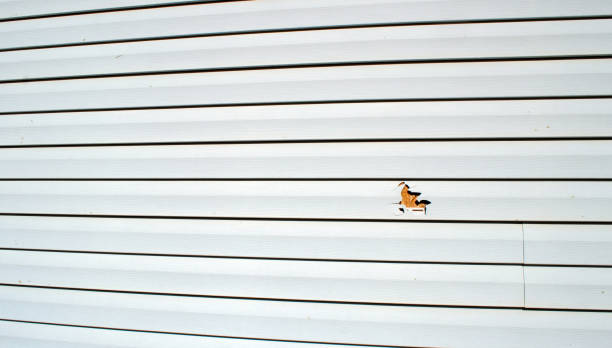 Affordable siding repair and maintenance services in Hillsborough, NJ