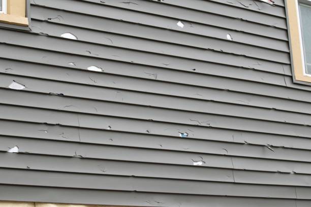 Best Siding Maintenance  in Hillsborough, NJ