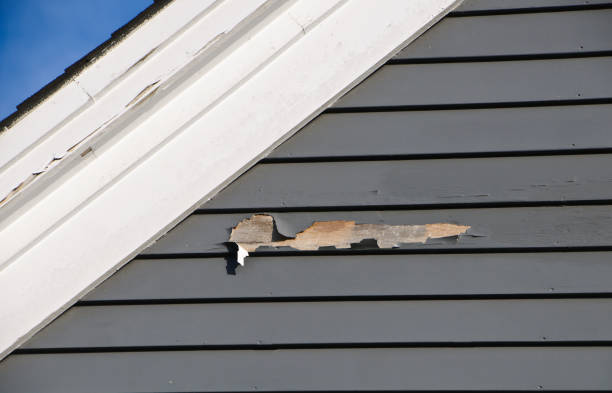 Professional Siding Installation & Repair in Hillsborough, NJ